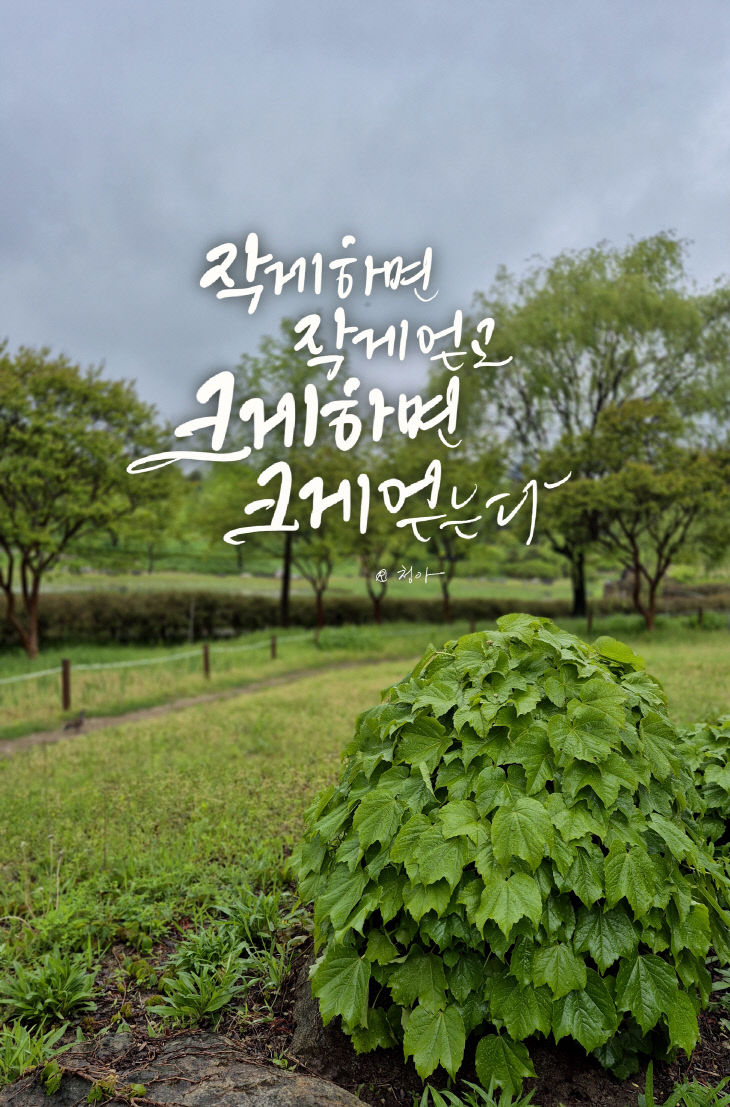 KakaoTalk_20250508_080255536