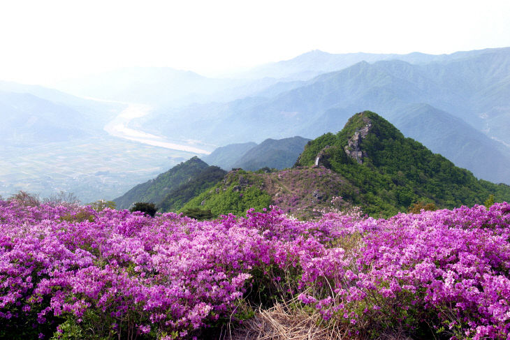 1.형제봉 철쭉