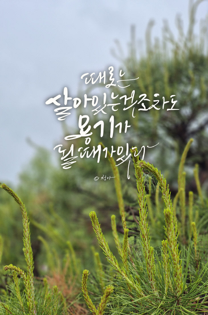 KakaoTalk_20250508_080327643