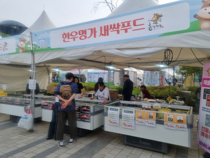 홍성군