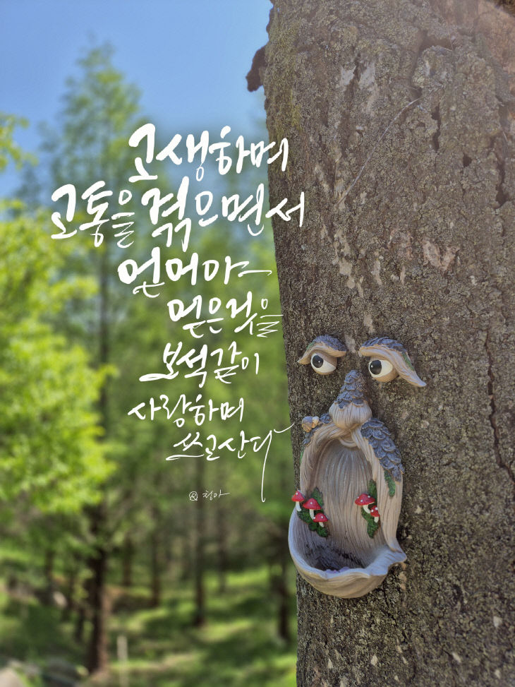 KakaoTalk_20250508_080417367
