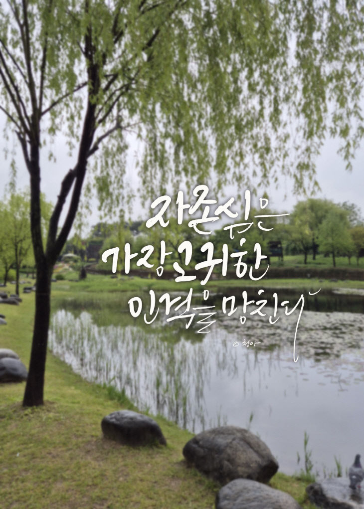 KakaoTalk_20250512_120649782