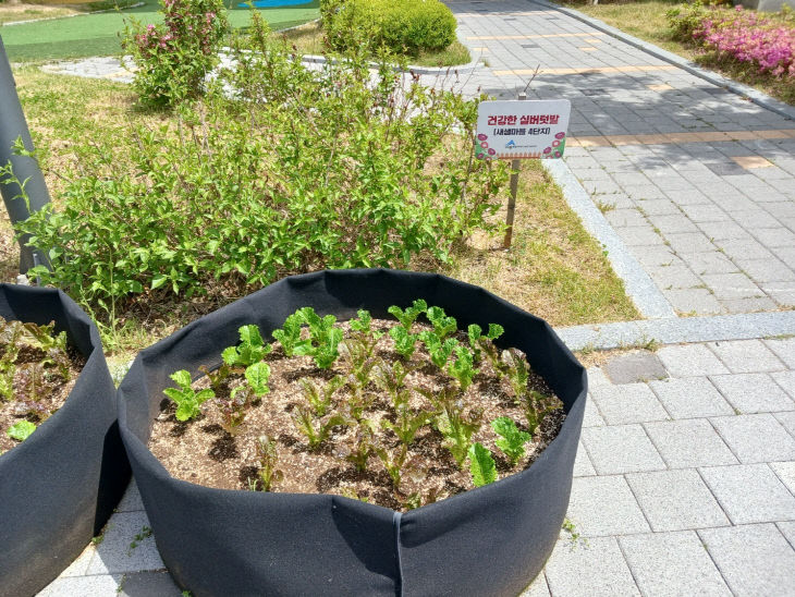 KakaoTalk_20250514_083923429_02