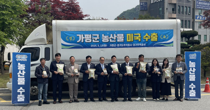 선적식