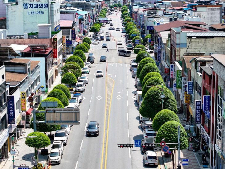 보도 1) 단양 복자기 가로수길(1)