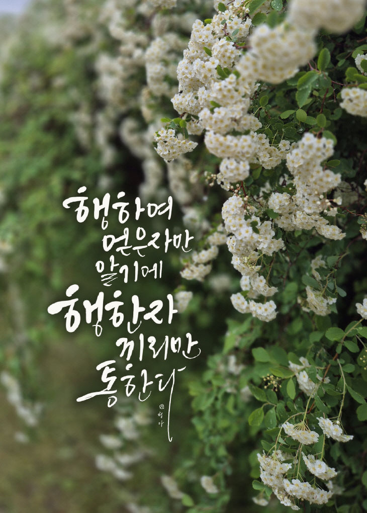 KakaoTalk_20250514_082638833