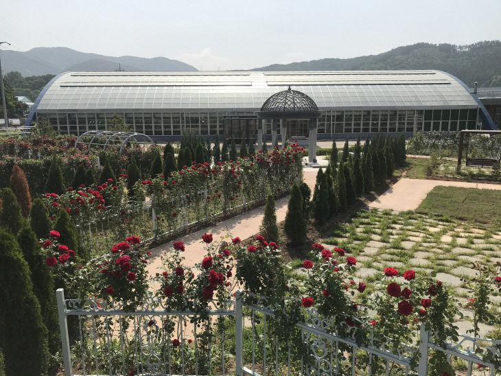 보령시