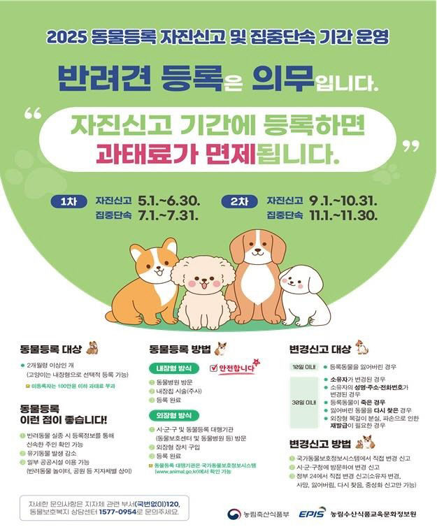 2. 동물등록 자진신고및 집중단속 홍보물 시안
