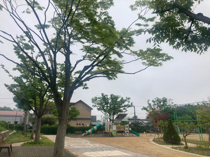 학교 나무 가지치기로 안전한 여름 준비