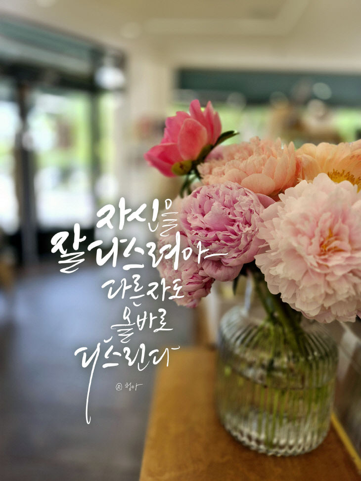 KakaoTalk_20250515_082402553