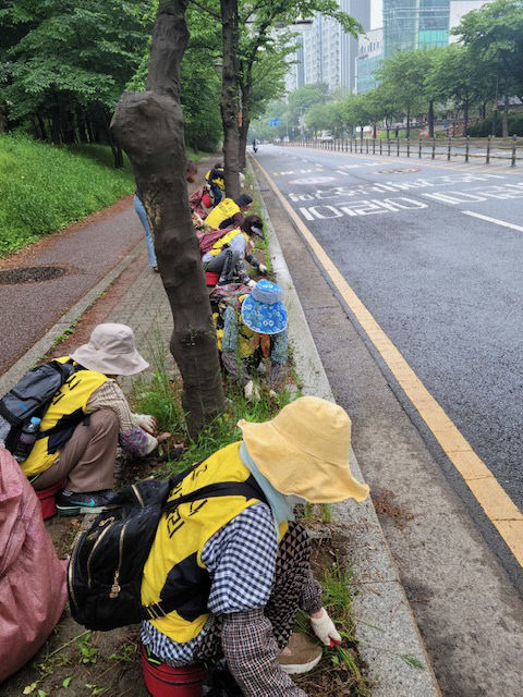 …거리 환경 개선 앞장 (1)