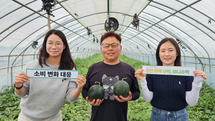 세자수박 생산 현장 사진