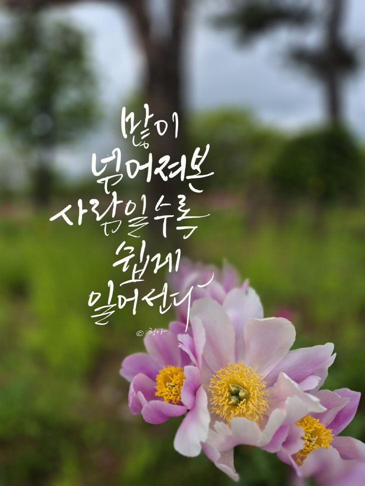 KakaoTalk_20250521_084231387