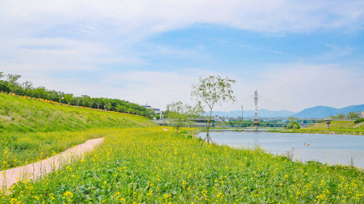 구