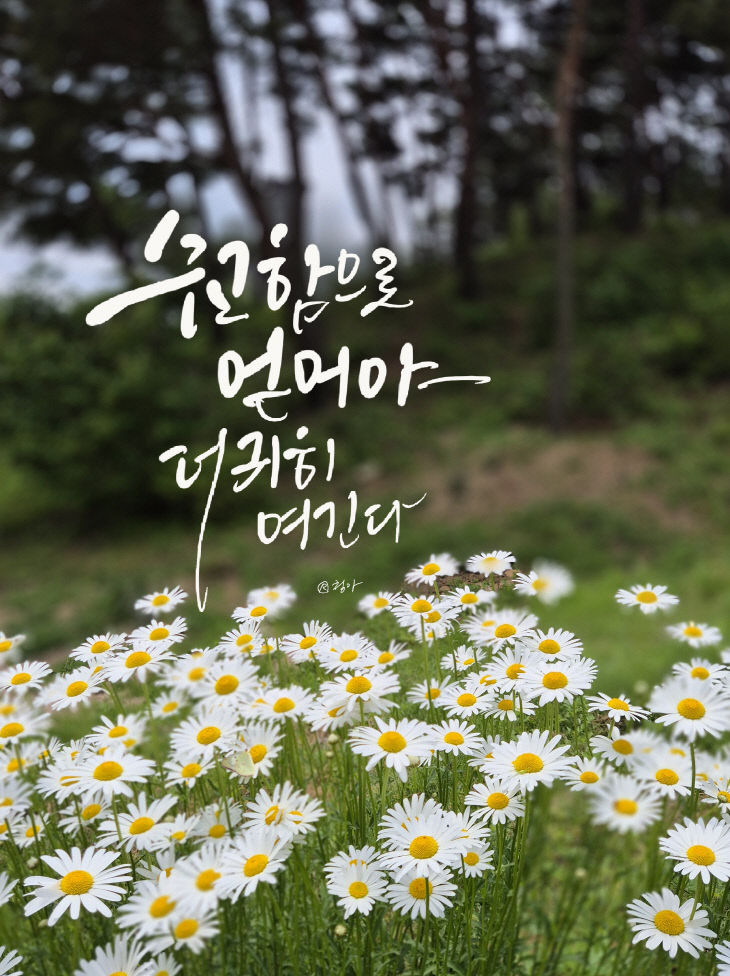 KakaoTalk_20250526_083149697