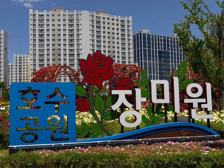 장미원 사진(1)