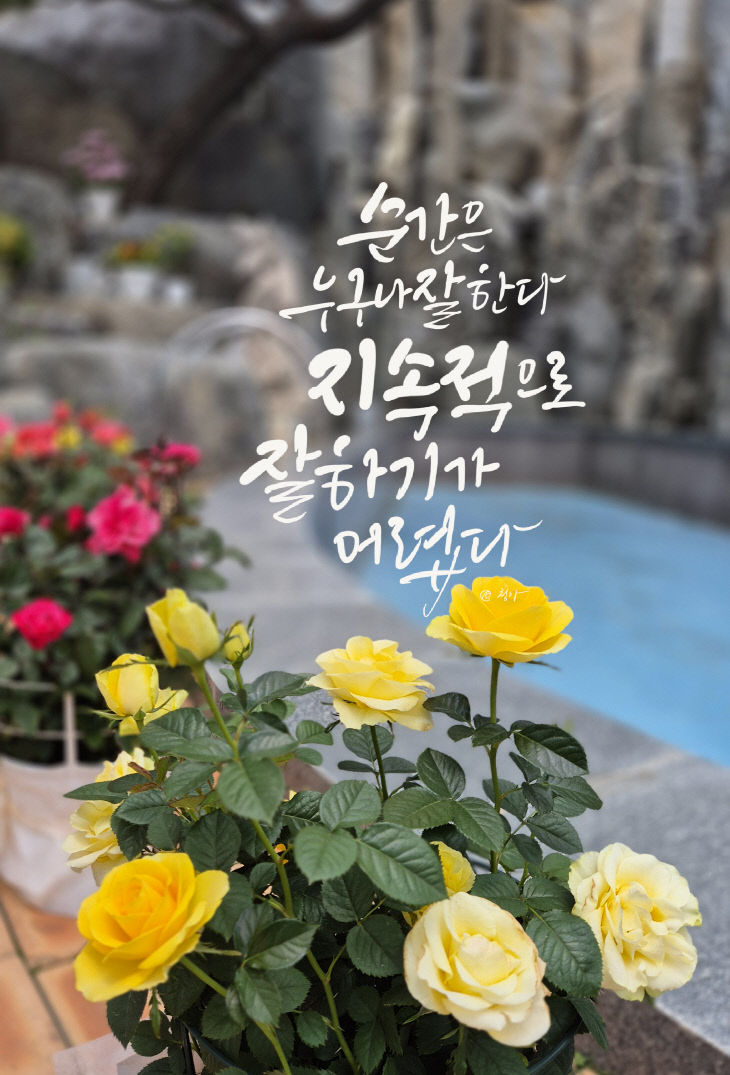 KakaoTalk_20250527_084433947