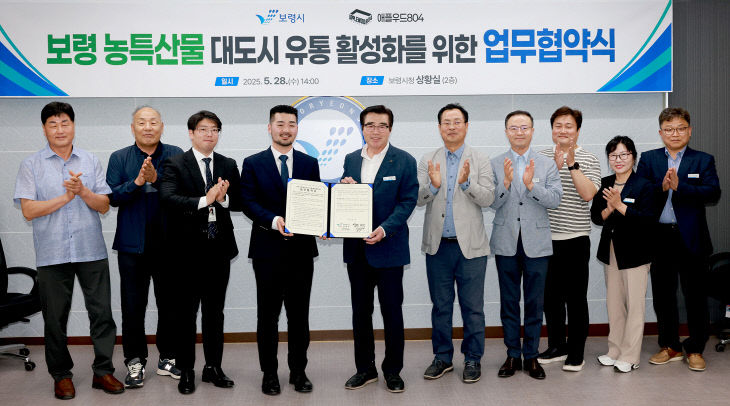 보령시