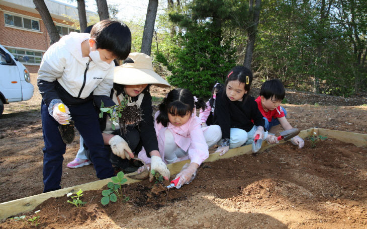 4. 태안 늘봄학교 운영 2