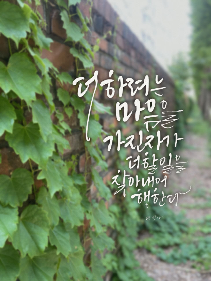 KakaoTalk_20250530_084715437