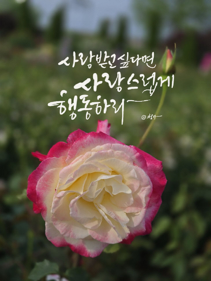 KakaoTalk_20250530_084455794