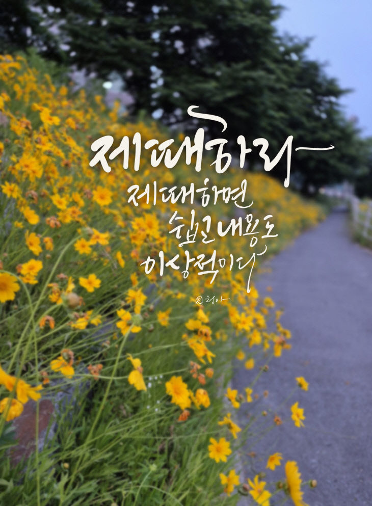 KakaoTalk_20250605_080716376