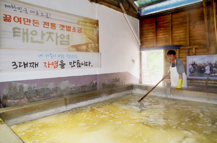 태안 자염 5