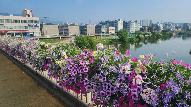 보령시