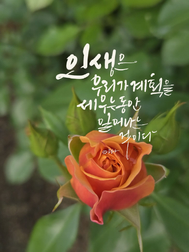 KakaoTalk_20250609_083308382