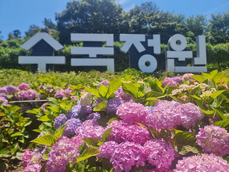 사진 (1)