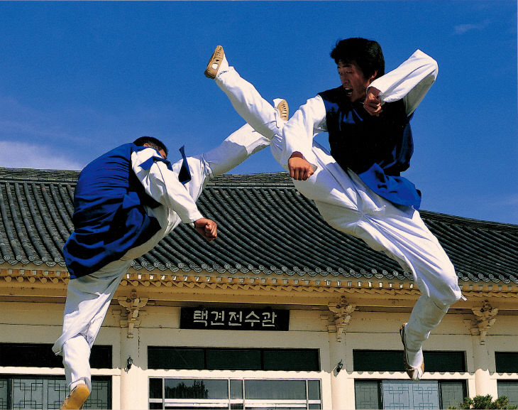 택견 대련