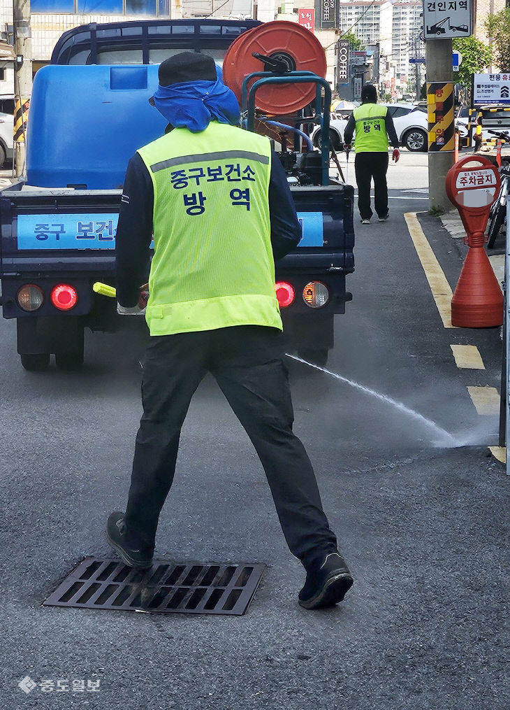 20250618-해충 방역1