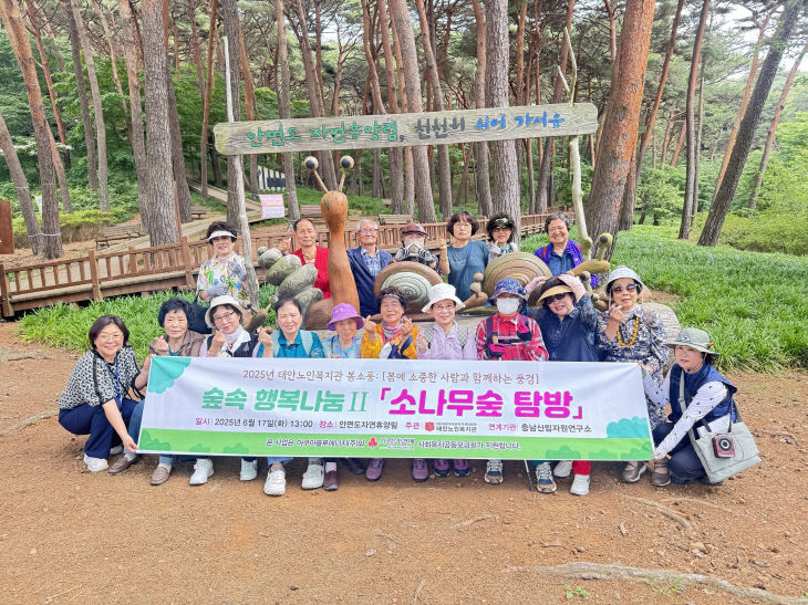 소나무숲탐방