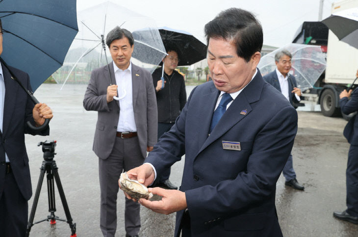 공