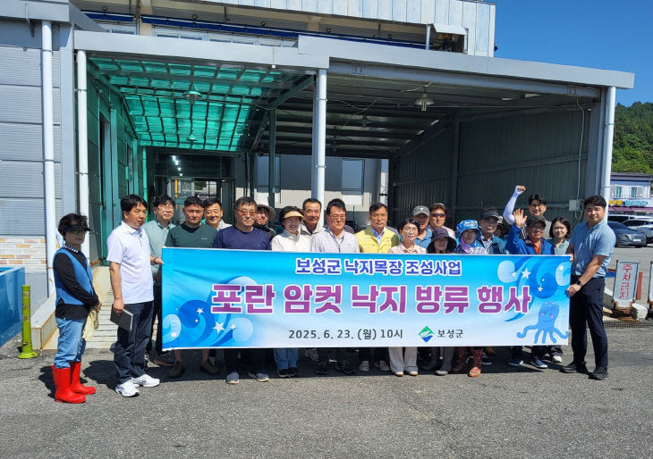 보성