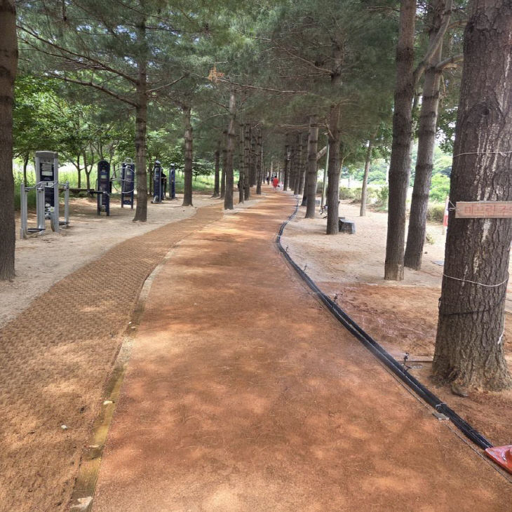 3.황톳길 조성 모습 (2)