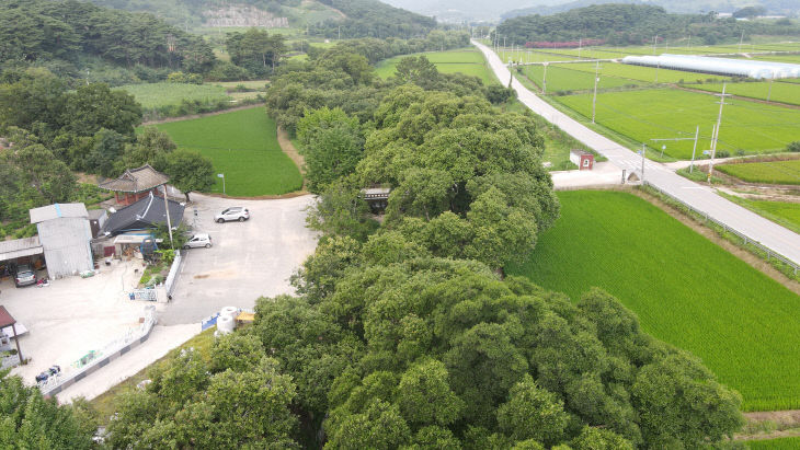 고창 삼태마을 숲(항공사진) (1)