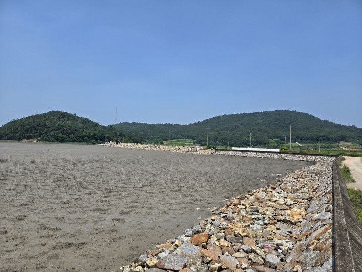 고