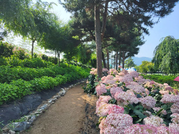 KakaoTalk_20250629_201624976