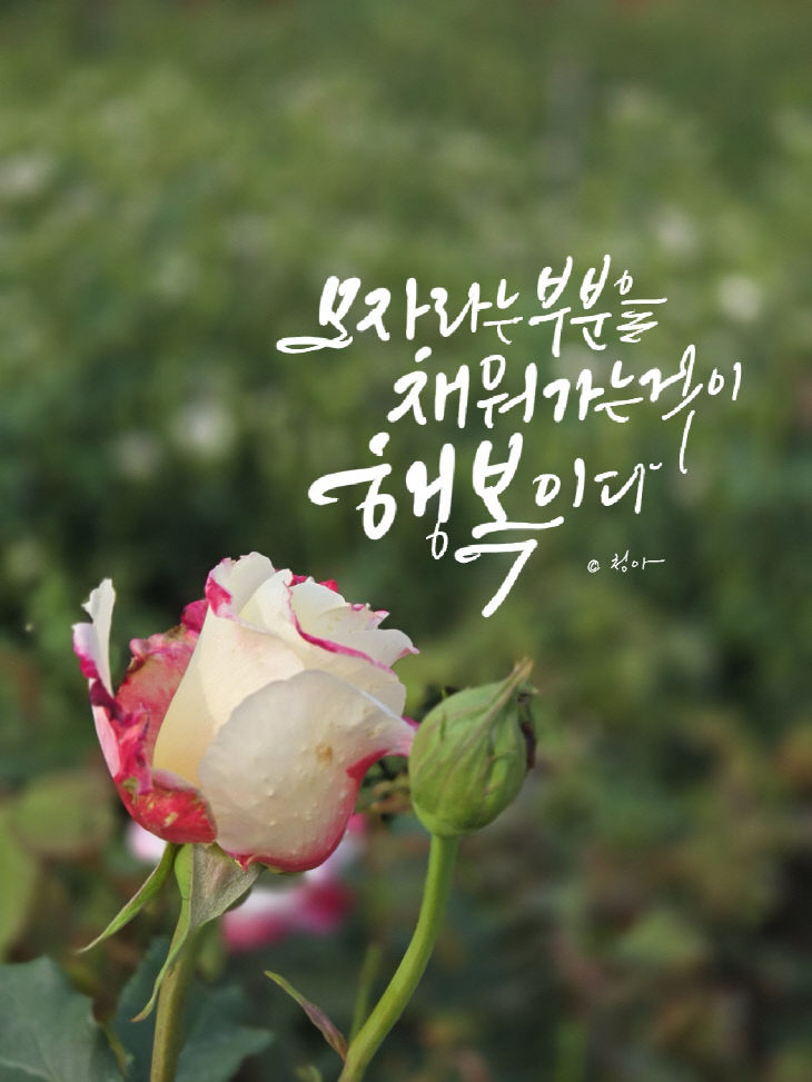 KakaoTalk_20250630_082635279