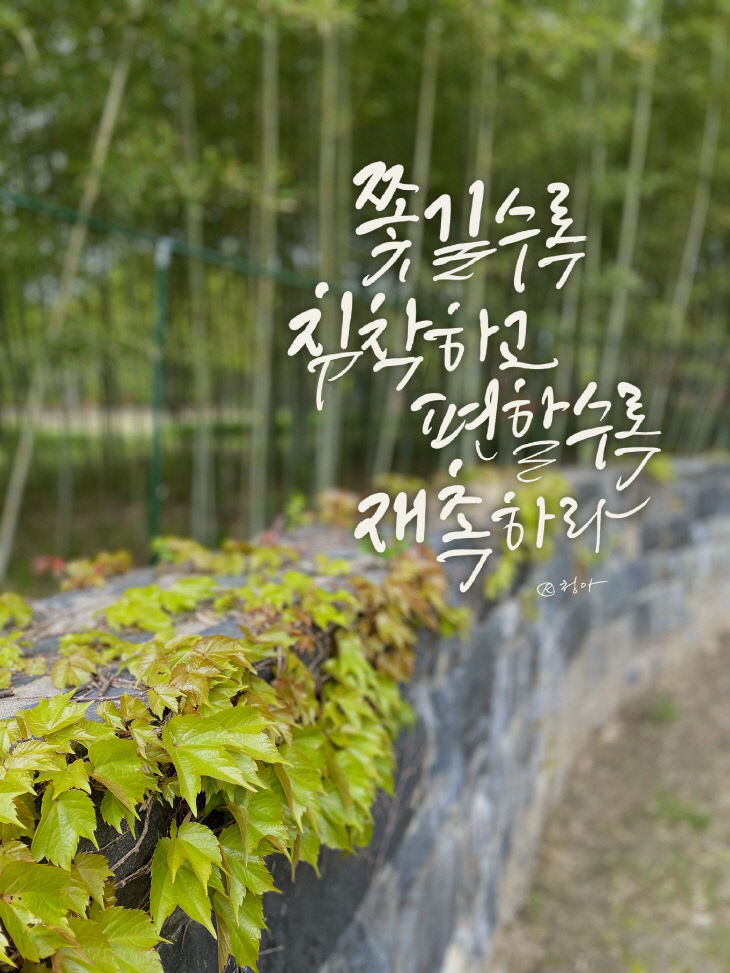 KakaoTalk_20250630_082813109
