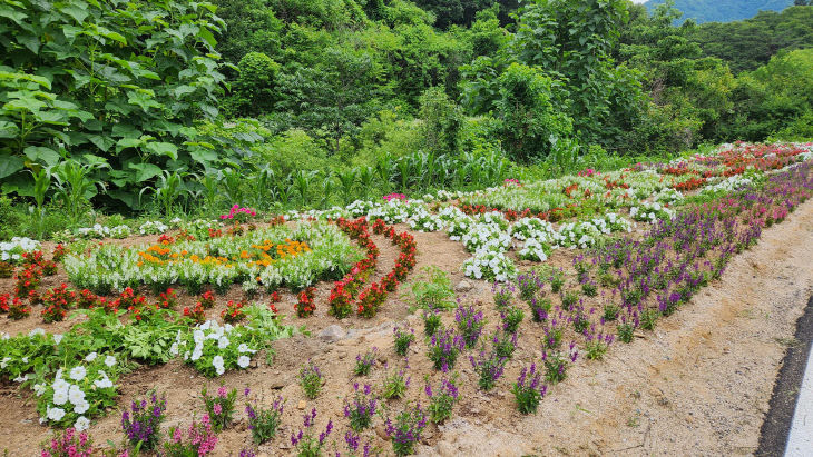 보도 3) 꽃정원 우수마을(마조리)