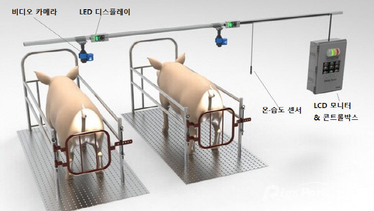 양돈인공지능_분만사관리시스템모식도
