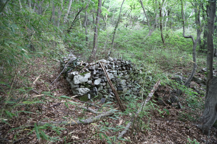 고흥