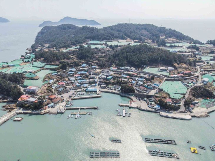 완도