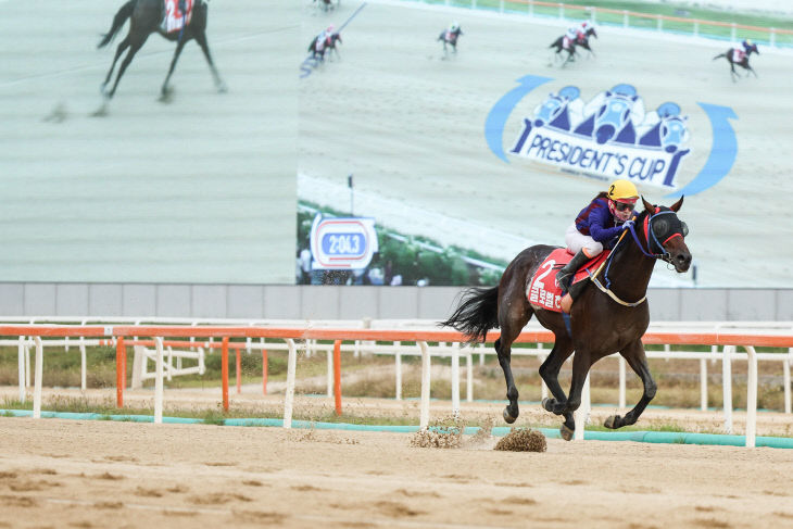 한국마사회 24년 대통령배 우승마 글로벌히트
