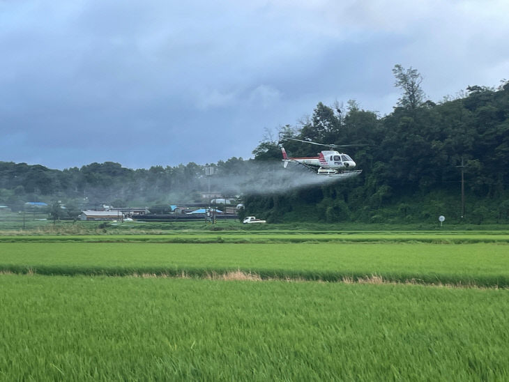 보령시