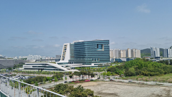 중앙동