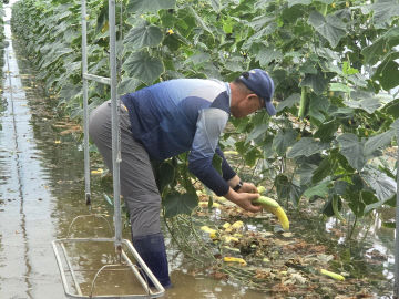 KakaoTalk_20250719_145347438_01