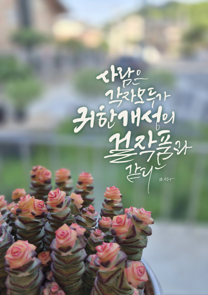KakaoTalk_20250718_081258688